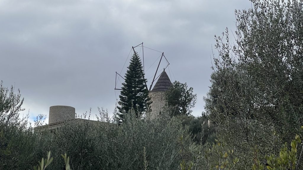 Weitere Windmühlen in Montuïri