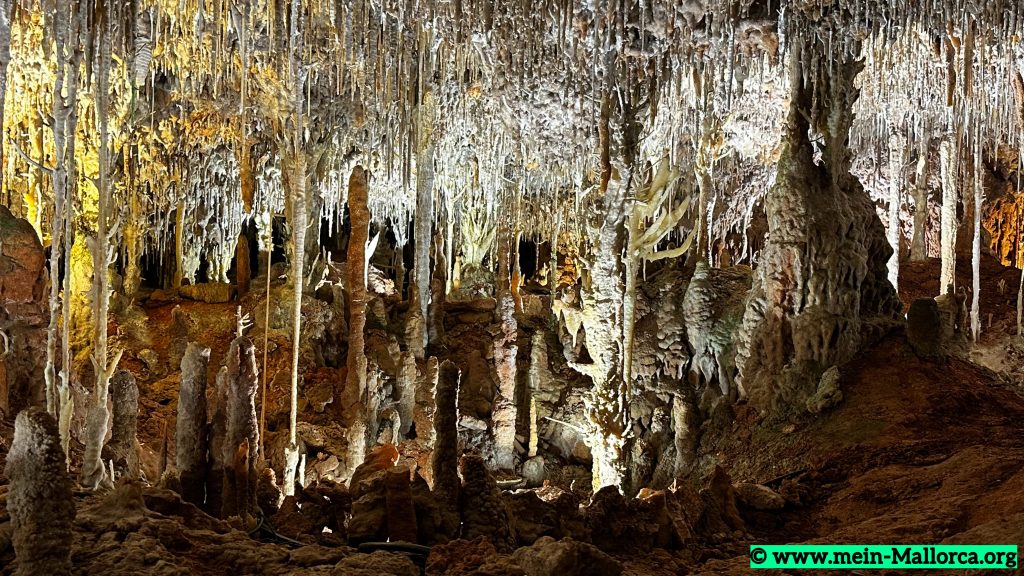 Hams Caves in Porto Cristo