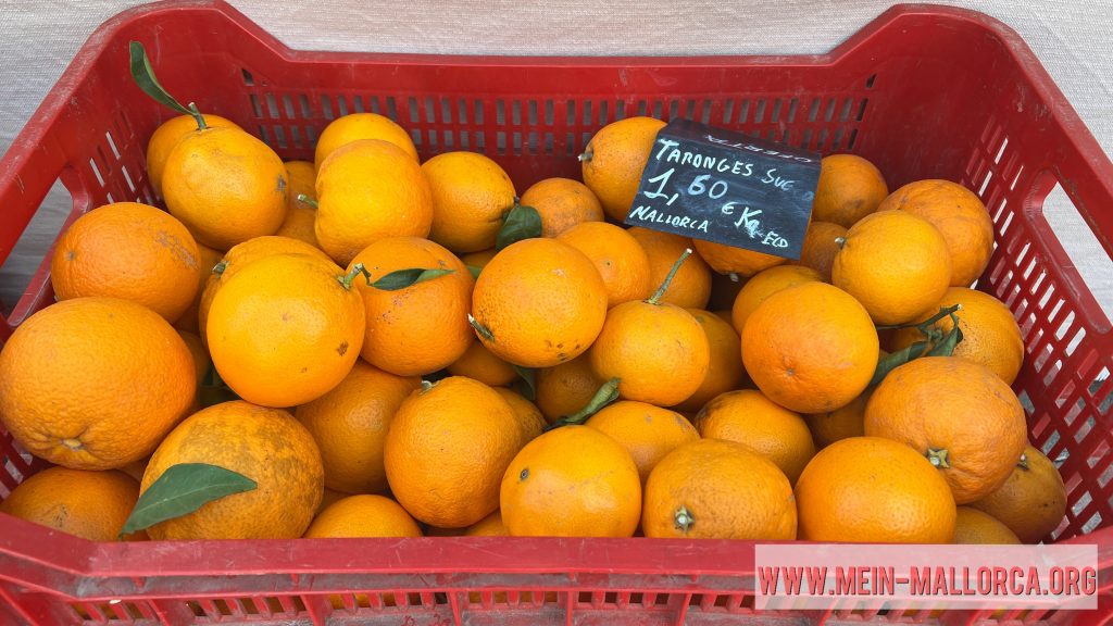 mallorquinische Orangen