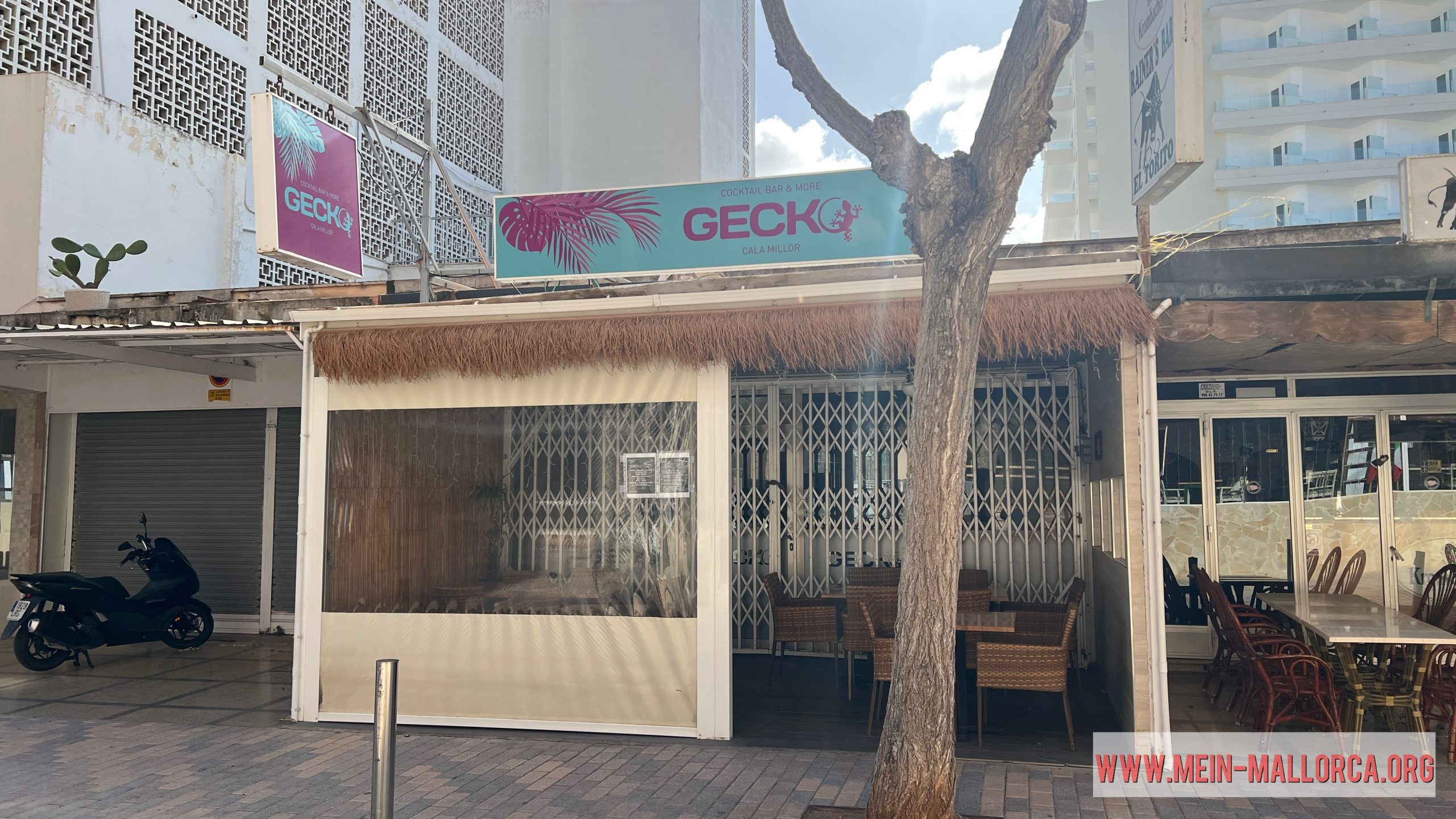 Außen Ansicht der Gecko Cocktail Bar