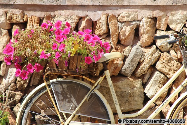 Fahrrad mit Blumendeko im Mai auf Mallorca