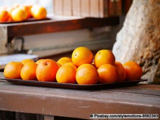 Saftige Mallorca Orangen