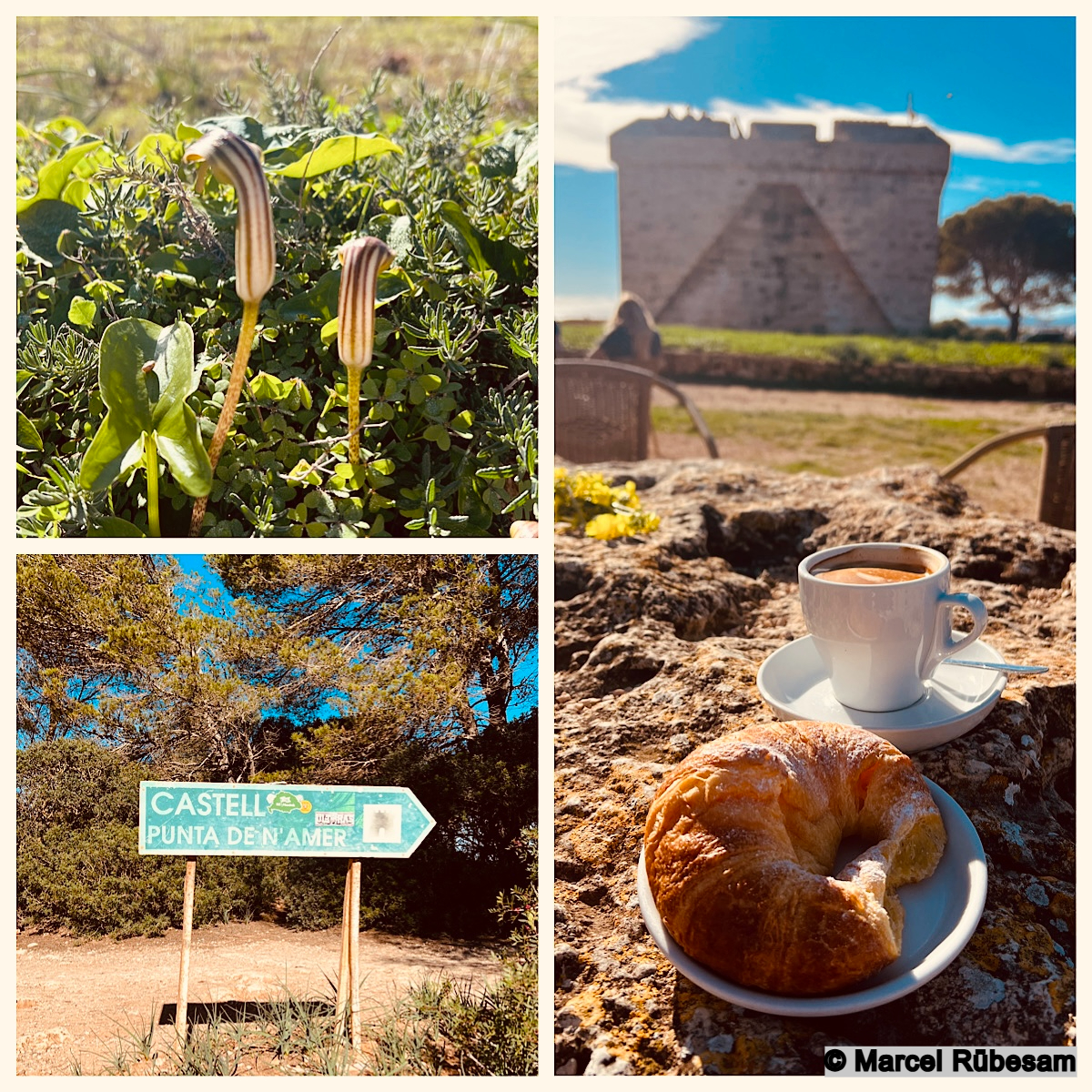 Collage mit einem Wegweiser zum Castell de la Punta de n’Amer, zwei Pflanzen, einem Café con leche mit Croissant und dem Castell im Hintergrund