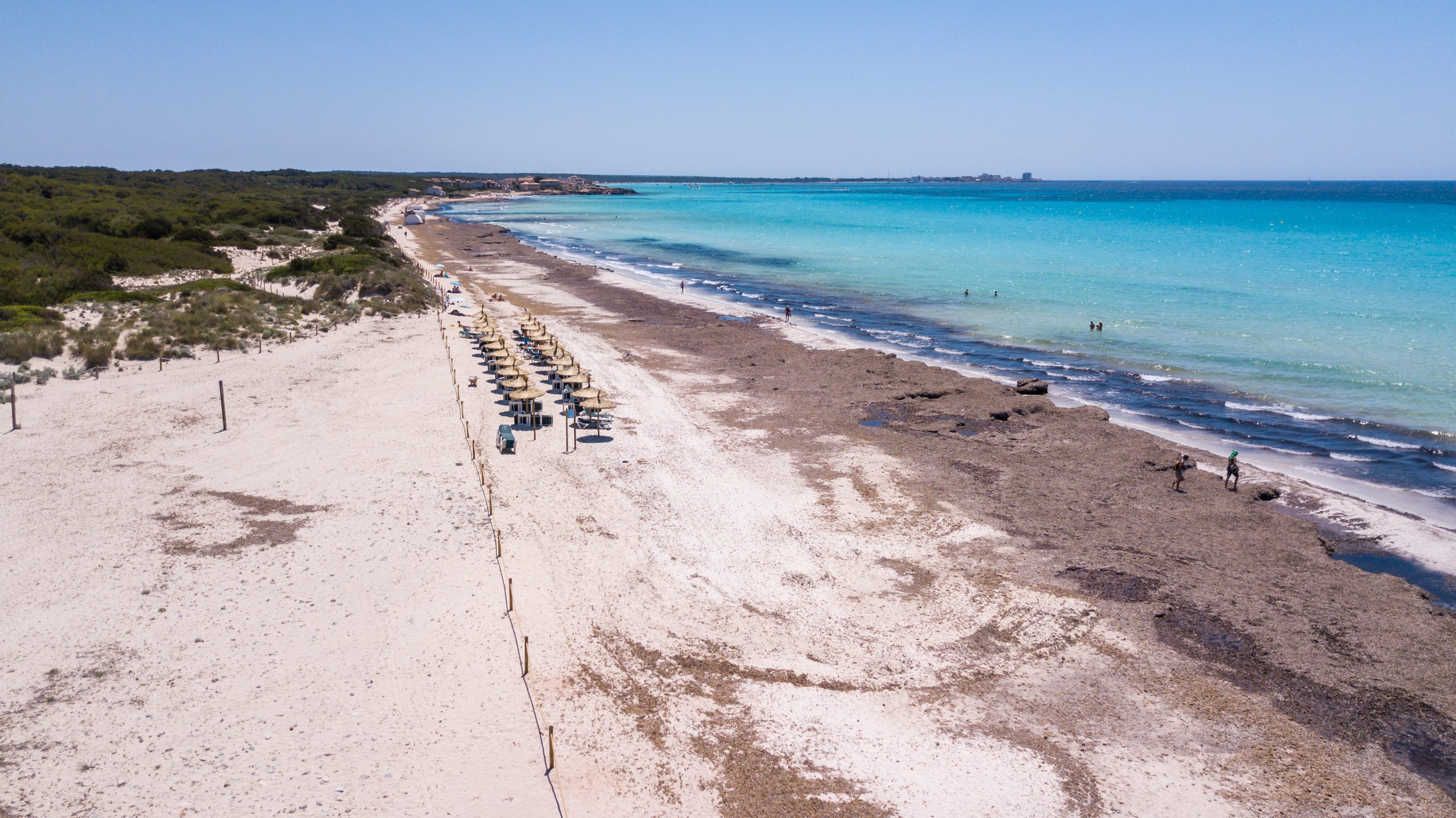 Weitläufiger Sandstrand von Sa Ràpita mit Sonnenschirmen, türkisfarbenem Wasser und Blick auf die Küste Mallorcas