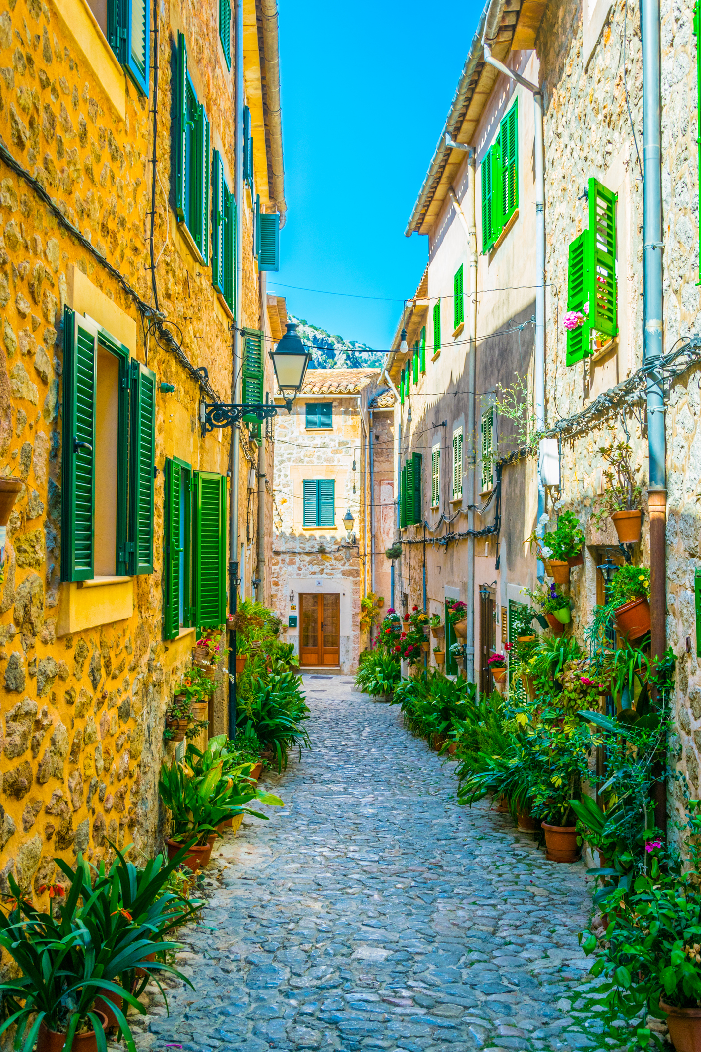 Enge Kopfsteinpflastergasse in Valldemossa mit grünen Fensterläden und üppiger Pflanzenpracht