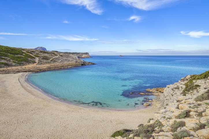 Panoramablick auf die ruhige Bucht Cala Torta mit türkisblauem Wasser und feinem Sandstrand auf Mallorca.