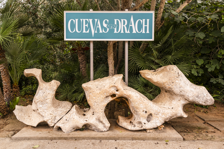 Schild mit der Aufschrift „Cuevas del Drach“ vor dekorativen Kalksteinfelsen und üppiger Vegetation in Porto Cristo, Mallorca.