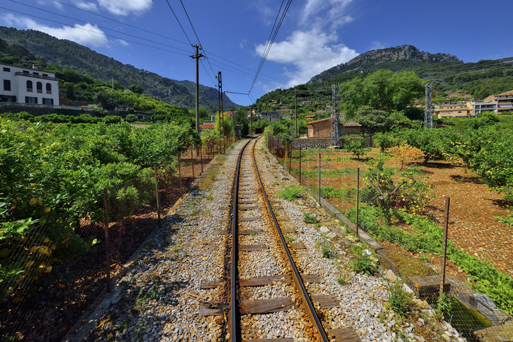 Blick auf die Schienen des Tren de Sóller, die durch Zitrushaine und das Tramuntana-Gebirge auf Mallorca führen.