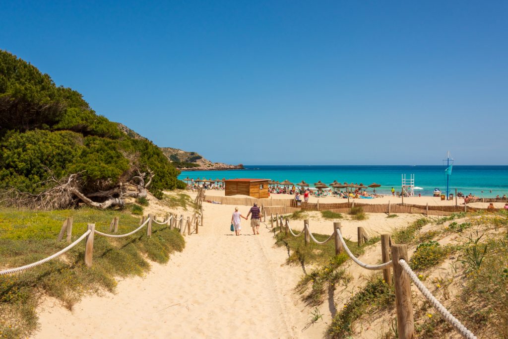 Sandweg mit Holzgeländer führt durch Dünen zum Strand Cala Agulla auf Mallorca, im Hintergrund türkisblaues Meer und Sonnenliegen mit Sonnenschirmen.
