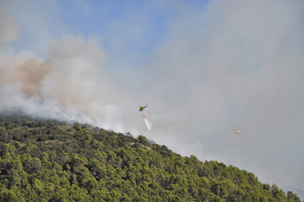 Waldbrandgefahr auf Mallorca – was du wissen solltest und wie du dich richtig verhältst