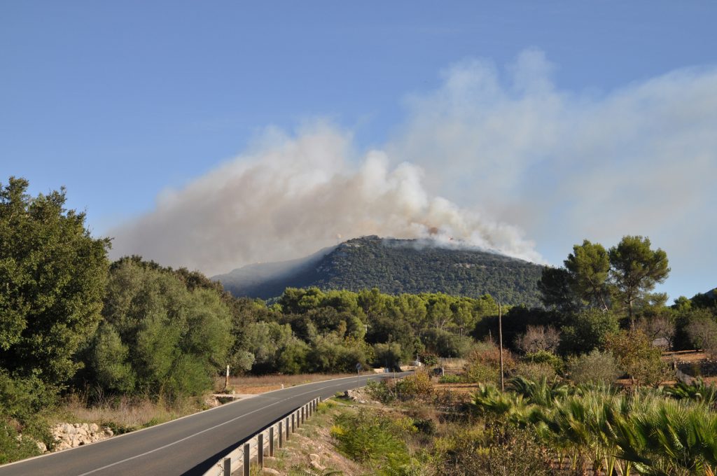 Rauch steigt über einem bewaldeten Hügel auf Mallorca auf, im Vordergrund eine Landstraße und Vegetation