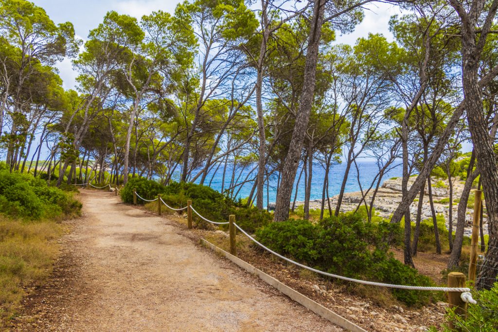 Wanderweg durch Pinienwald mit Blick auf das Meer im Naturpark Cala Mondragó auf Mallorca.