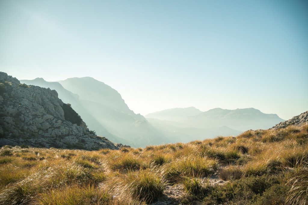 Blick über sonnenbeschienene Grasflächen auf die Berge der Sierra de Tramuntana bei Sonnenuntergang