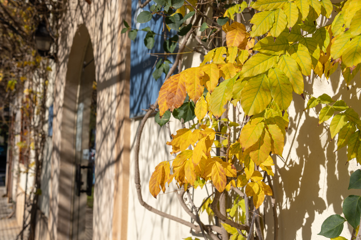 Mallorca im Oktober – milde Temperaturen, goldenes Licht und entspannte Erlebnisse