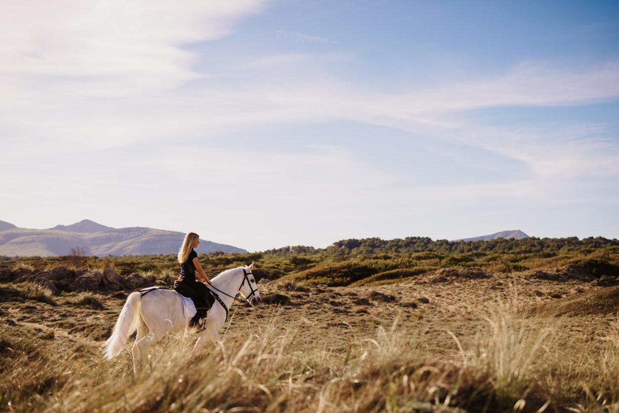 Reiten auf Mallorca – auf dem Pferderücken durch Dünen, Wälder und mallorquinische Landschaft