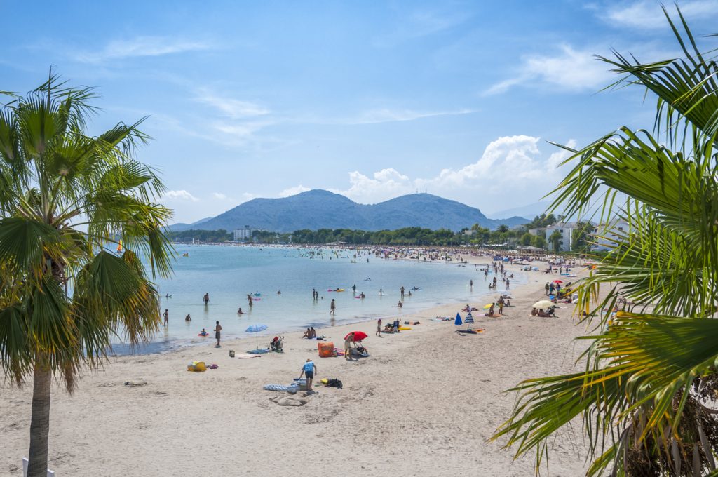 Strand von Alcudia auf Mallorca mit Palmen im Vordergrund, vielen Badegästen am Sandstrand und türkisfarbenem Wasser, Berge im Hintergrund.