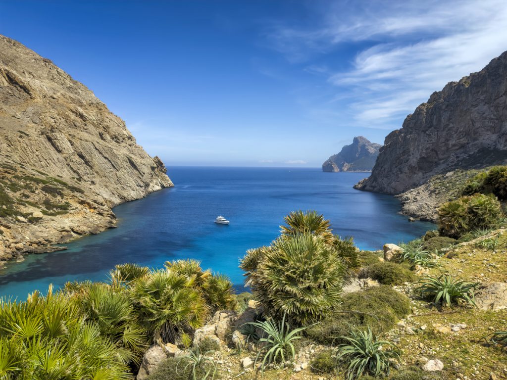 Panorama auf eine abgelegene Bucht mit Boot, umgeben von Felsen und Palmen bei Pollença auf Mallorca
