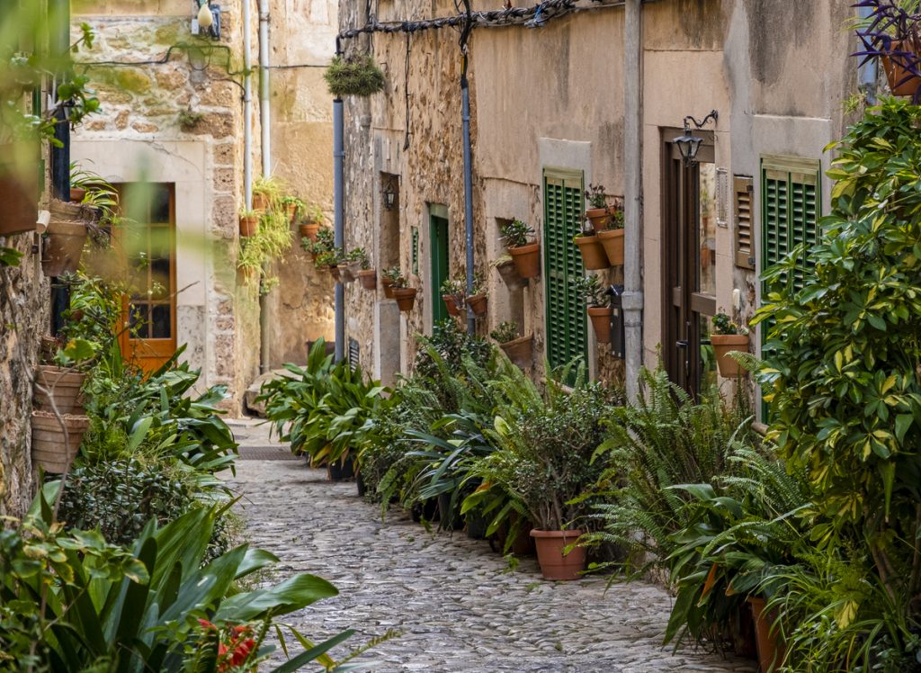 Schmale Kopfsteinpflastergasse in Valldemossa, Mallorca, gesäumt von üppigen Pflanzen und Blumentöpfen an den Fassaden traditioneller Steinhäuser.