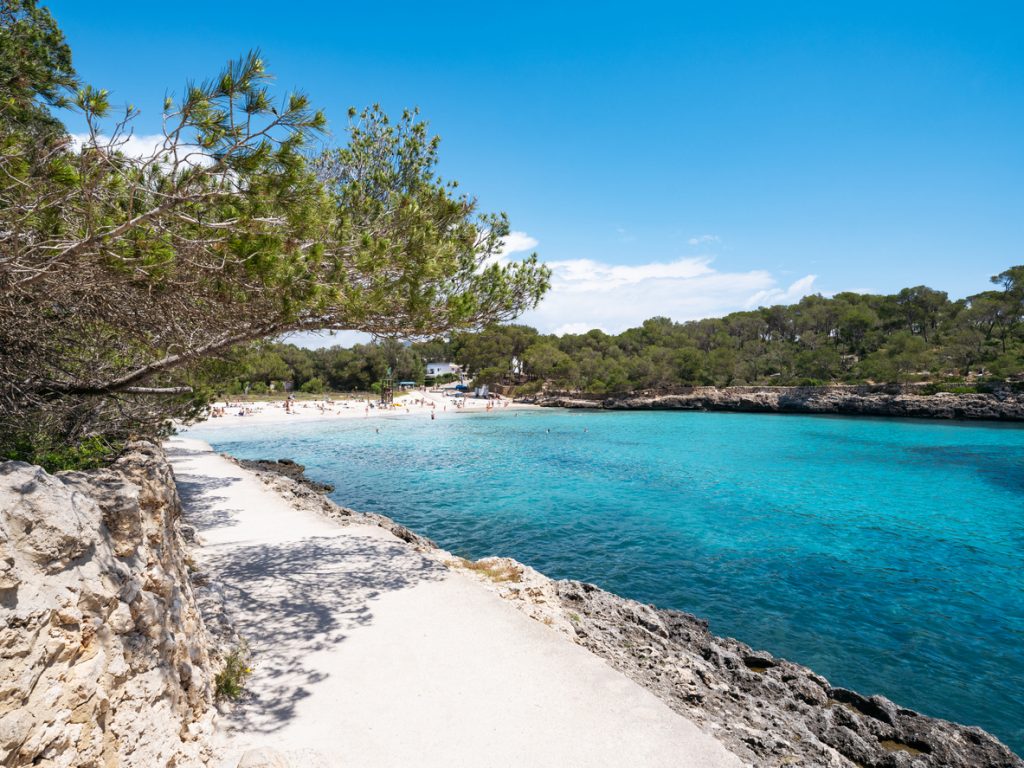 Blick auf die Cala Mondragó mit feinem Sandstrand, türkisblauem Meer und Pinienwäldern im Hintergrund auf Mallorca.
