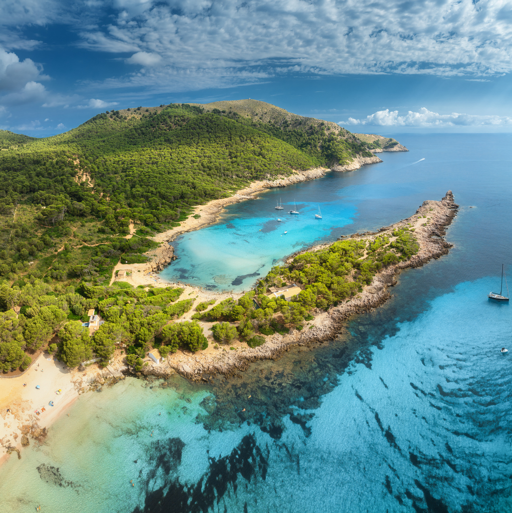 Luftaufnahme der Cala Agulla auf Mallorca mit kristallklarem türkisblauem Wasser, grünen Hügeln und weißen Sandstränden.