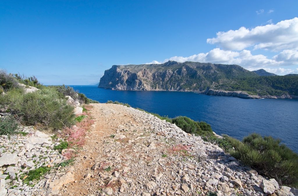 Blick auf die felsige Küste der Insel Dragonera bei Mallorca mit tiefblauem Meer und bewachsenen Hügeln im Hintergrund.