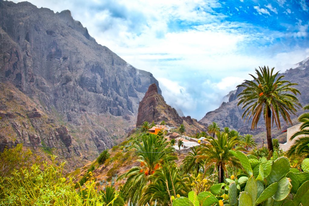 Traditionelles Bergdorf Masca mit Palmen und Kakteen inmitten der beeindruckenden Felslandschaft von Teneriffa.