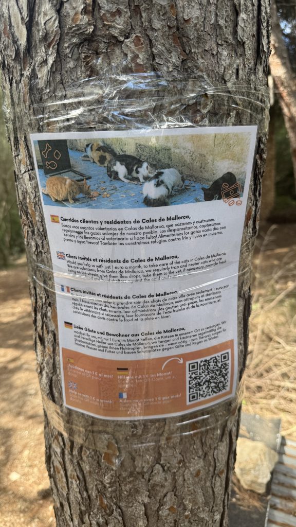 An einem Baum befestigtes Hinweisschild mit Katzenfoto, mehrsprachigem Text und QR-Code zur Unterstützung in Cales de Mallorca.
