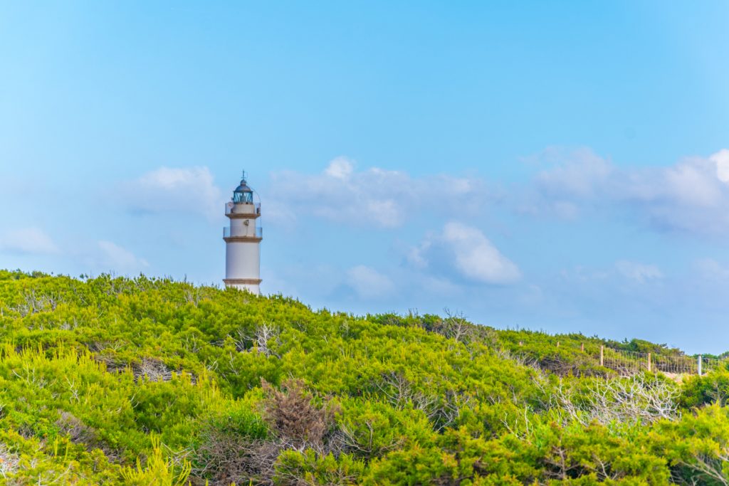 Weißer Leuchtturm über grünem Buschwerk. Blauer Himmel. Mallorca.