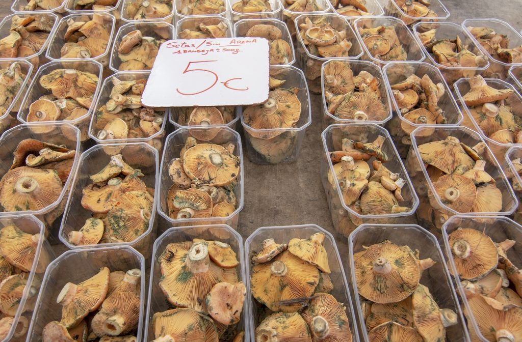 Viele Plastikschalen mit orangenen Niscalos (Rovellons) und einem 5-€-Preisschild auf einem Marktstand.