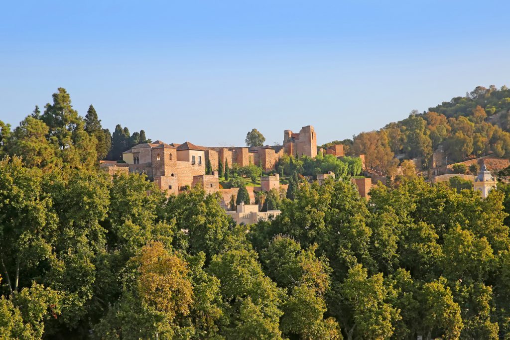 Blick auf die Burg Gibralfaro über den Baumwipfeln von Málaga.