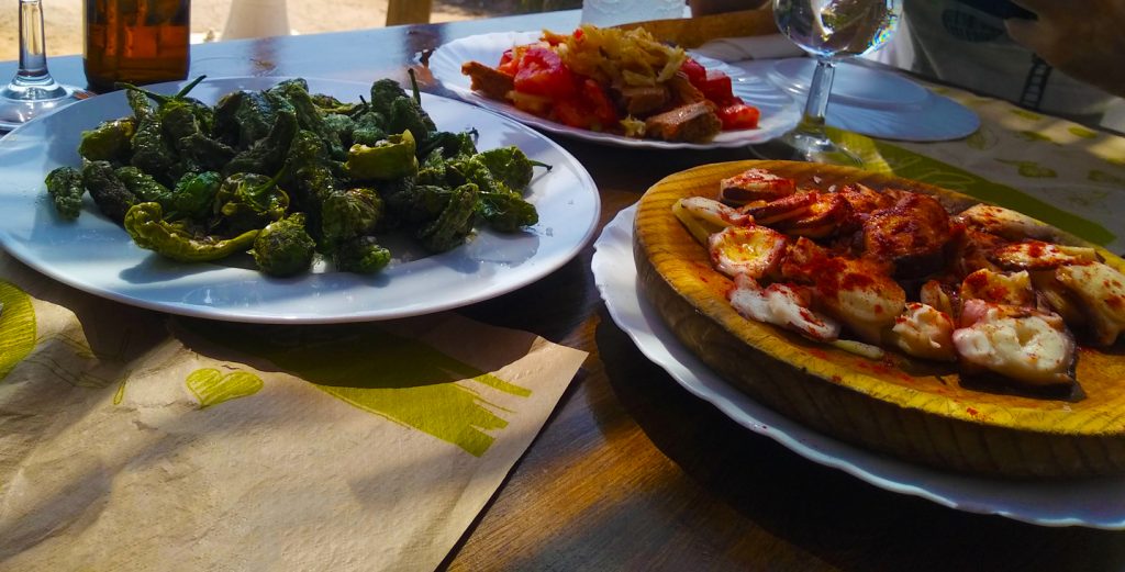 Teller mit Padrón-Paprika, Pulpo und Tomatensalat auf Mallorca.