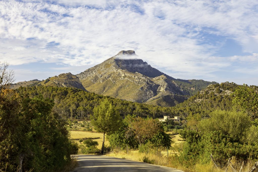 Landstraße führt auf den Puig de Galatzó mit Waldhängen und kleinem Wolkenband am Gipfel.