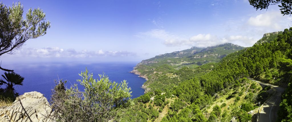 Blick über die zerklüftete Tramuntana-Küste mit Pinienwäldern, Klippen und tiefblauem Meer; rechts eine kurvige Küstenstraße.