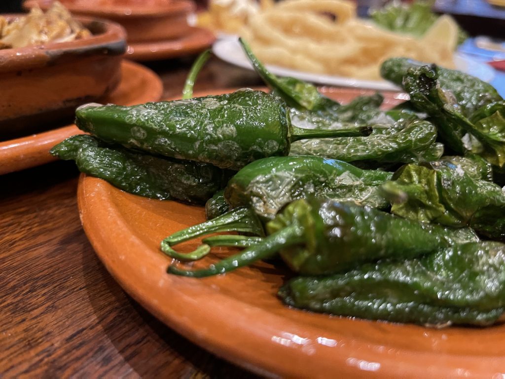 Nahaufnahme von gebratenen grünen Padrón-Paprikas mit Blasen und grobem Salz auf einem kleinen Terrakottateller.