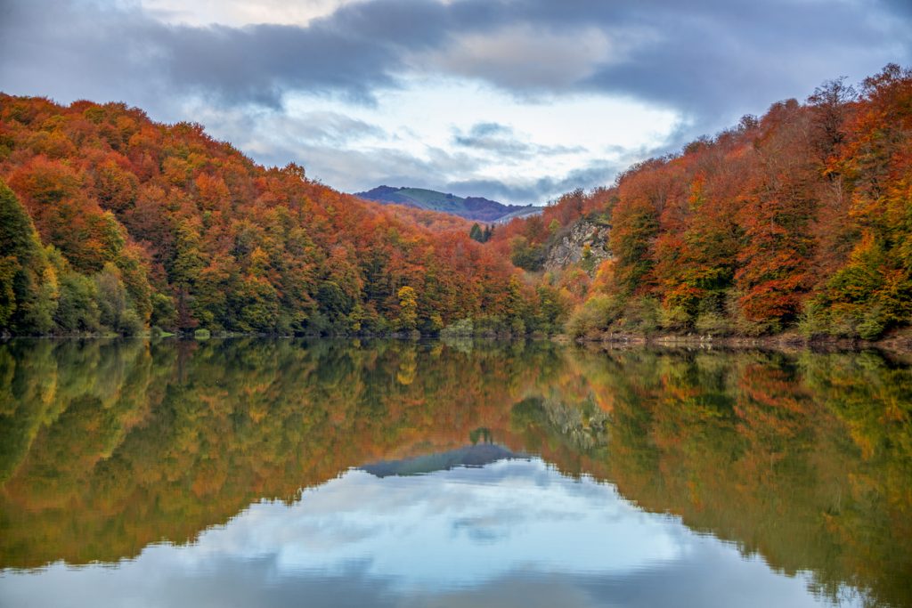 Stiller See spiegelt einen bunt gefärbten Buchenwald in der Selva de Irati unter wolkigem Himmel.