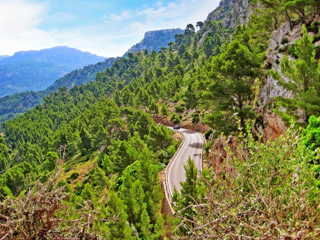 Schmale Bergstraße schlängelt sich durch pinienbewachsene Hänge der Serra de Tramuntana bei Banyalbufar.
