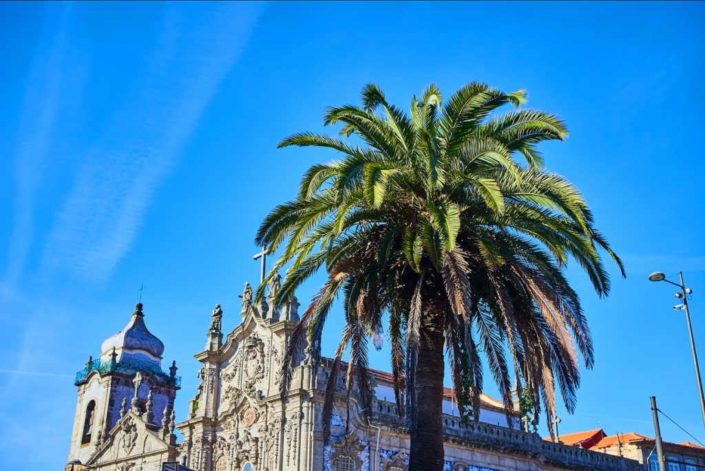 Prunkvolle Kirchenfassade mit Kacheln steht hinter einer hohen Dattelpalme.