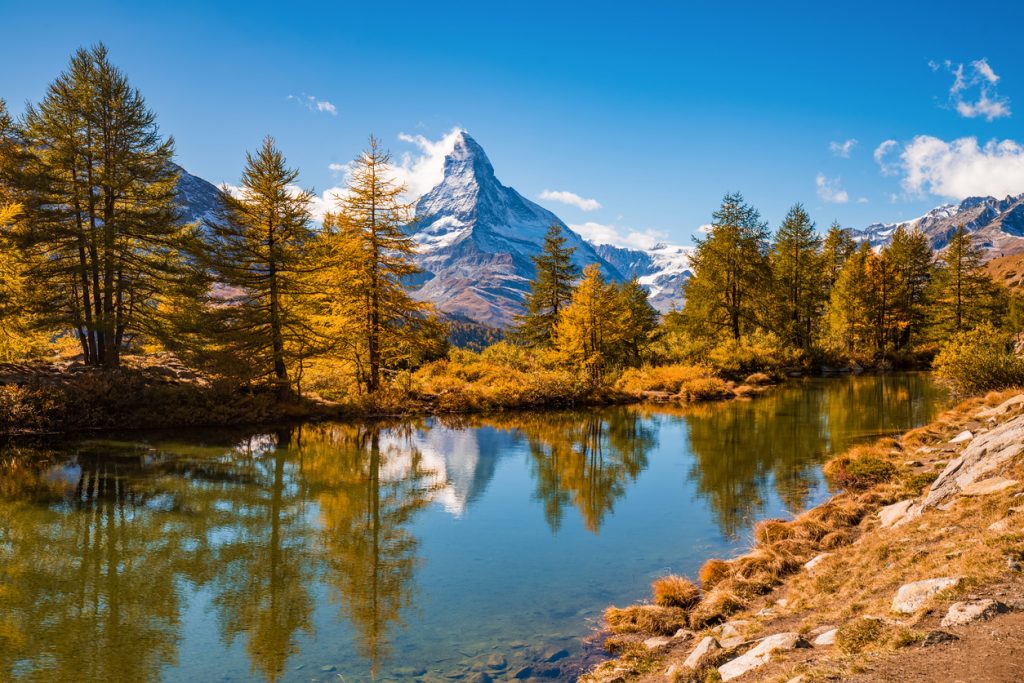 Klarer Bergsee mit herbstlich goldenen Lärchen, in denen sich das Matterhorn spiegelt.