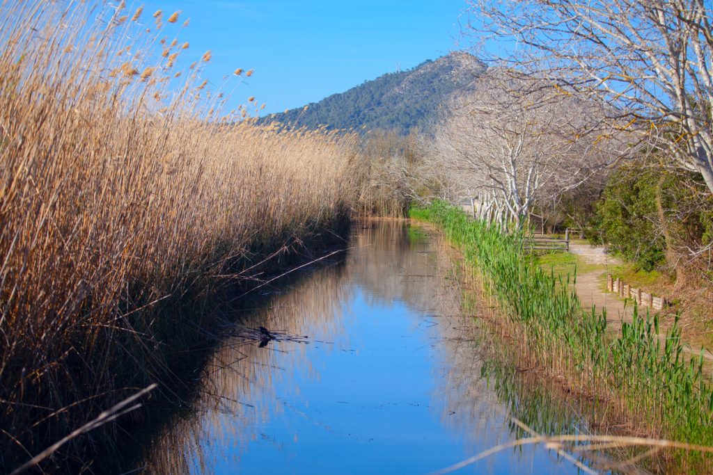 Stiller Wasserkanal im Naturpark, flankiert von Schilf, Bäumen und einem Fußweg.