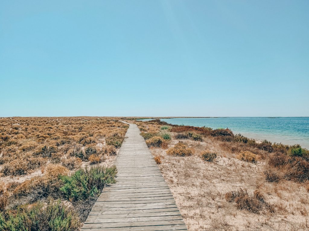 Ein Dünensteg führt am Rande der Ria Formosa zum türkisblauen Meer.