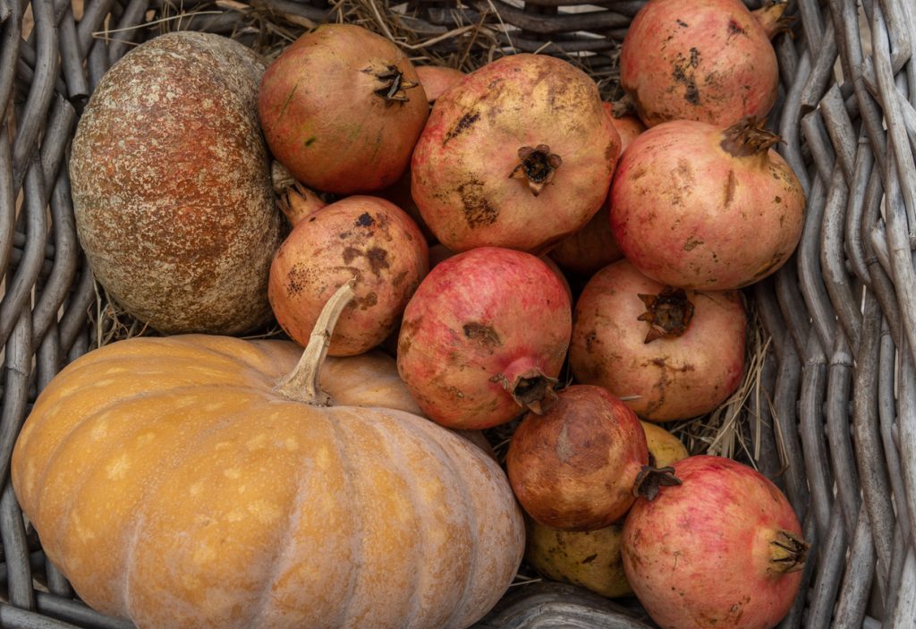 Korb mit reifen Granatäpfeln und großem Kürbis auf Stroh.