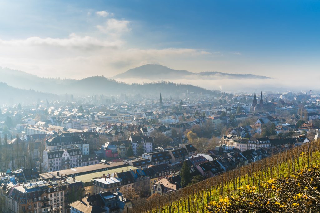 Panorama von Freiburg mit Reben im Vordergrund und nebligen Hügeln dahinter.
