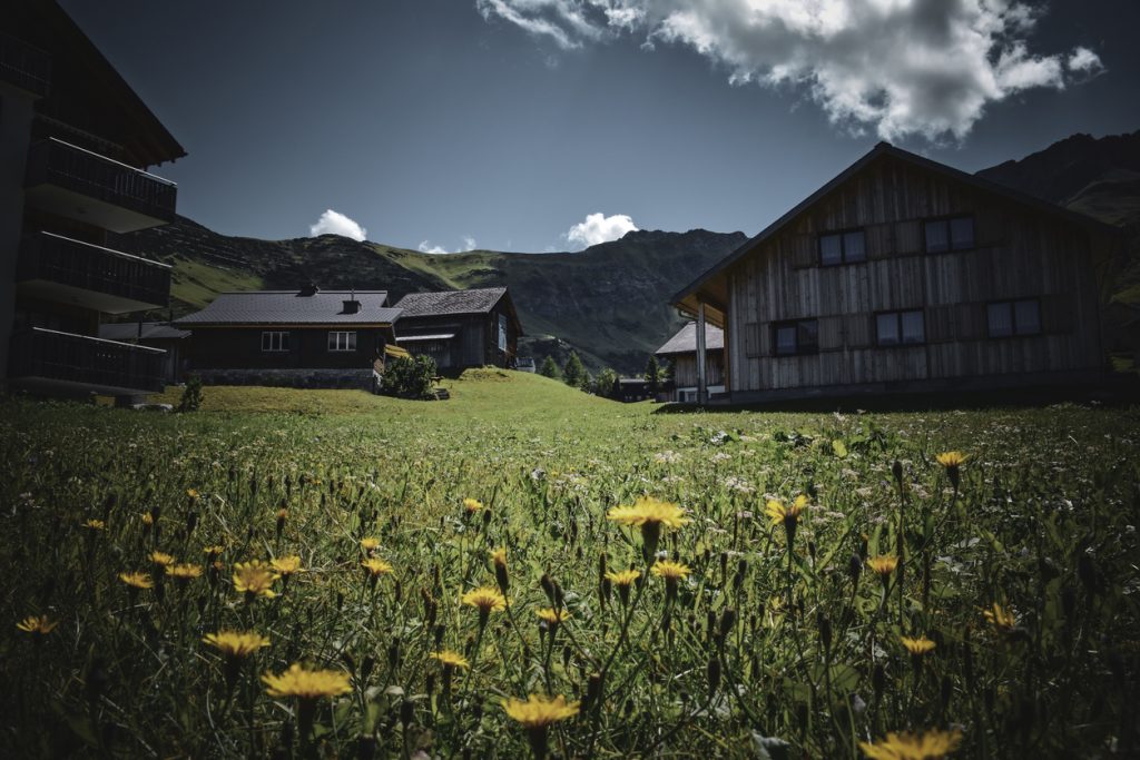 Holzhäuser und Almwiese mit gelben Blumen vor Bergkulisse in Malbun.