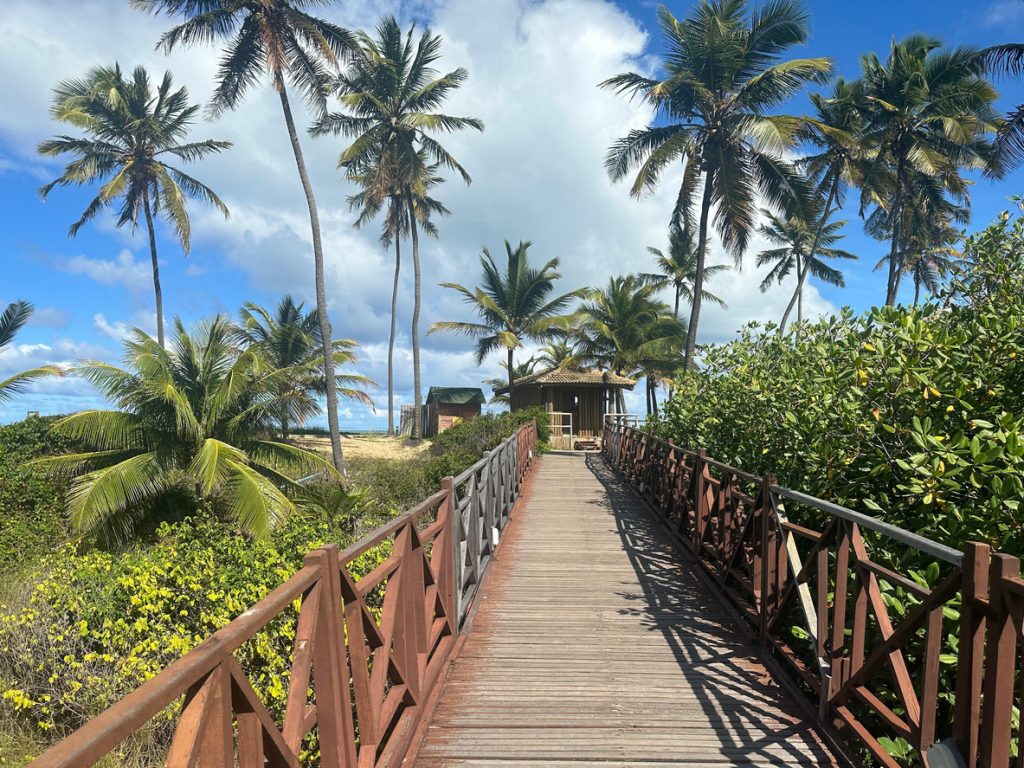 Ein Steg führt zwischen dichtem Grün zu einer kleinen Strandhütte.