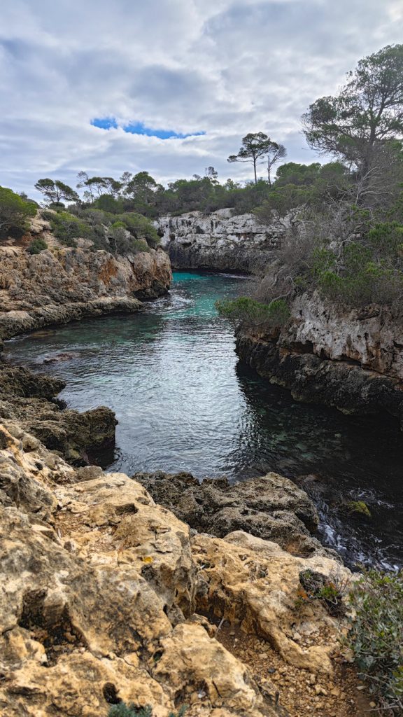 Blick über zerklüftete Felsen auf eine enge türkisgrüne Bucht mit Pinien unter wolkigem Himmel.