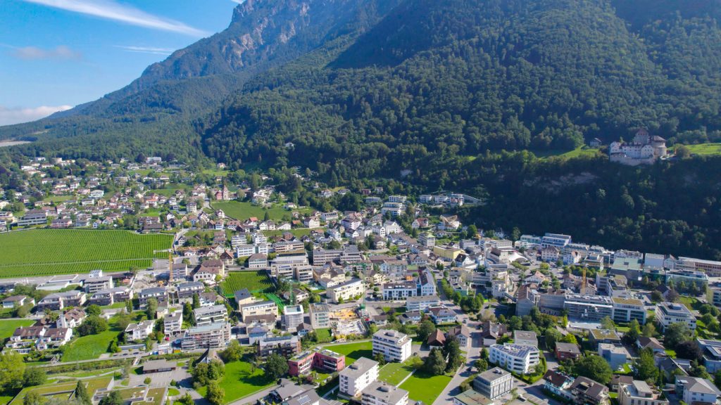 Luftaufnahme von Vaduz mit Wohnhäusern, Rebhängen und dem Schloss auf einem Hügel.
