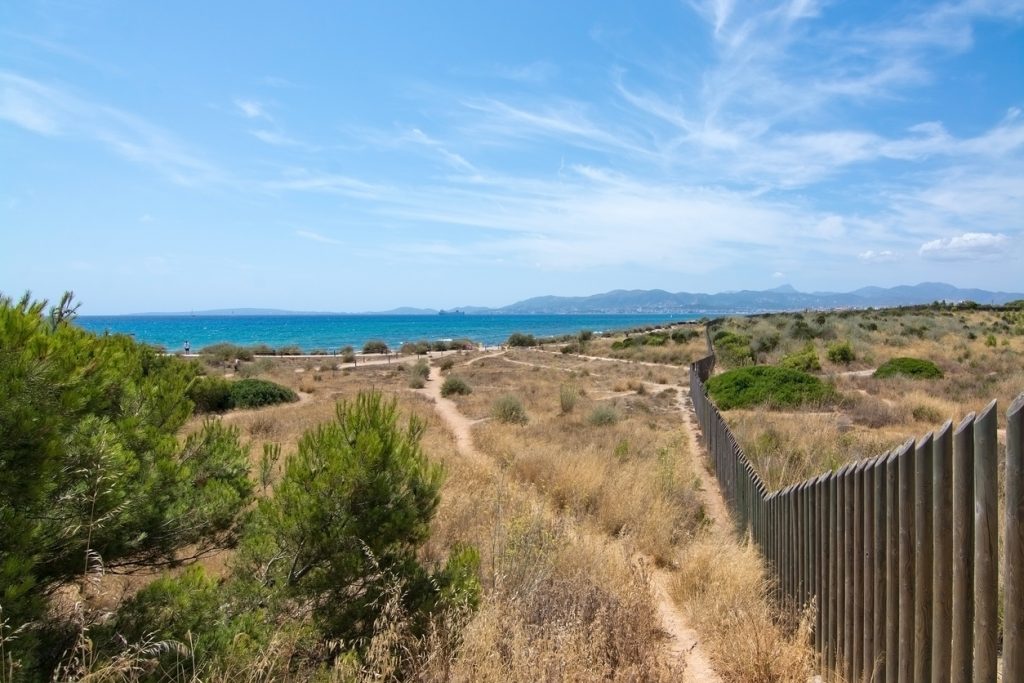 Sandiger Pfad führt durch trockene Dünenlandschaft auf das türkisblaue Meer zu.