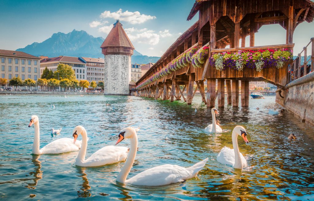 Holzbrücke mit Blumenschmuck, Wasserturm und Schwänen im Wasser in Luzern.
