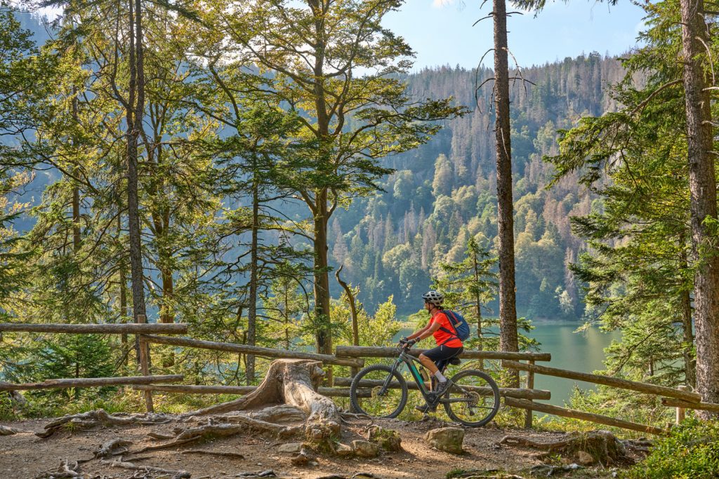 Mountainbiker fährt auf einem Waldweg mit Blick auf einen Schwarzwaldsee.