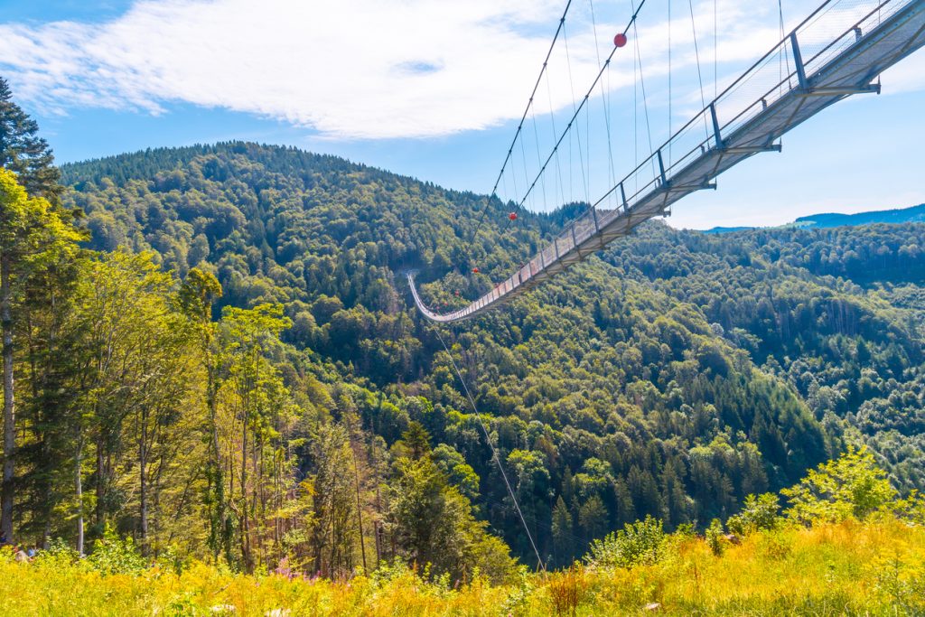 Lange Hängebrücke spannt sich hoch über einem bewaldeten Tal im Schwarzwald